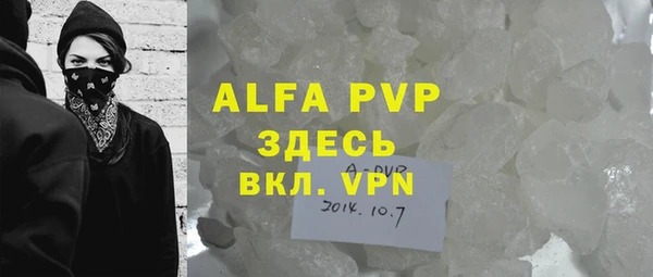индика Заволжск
