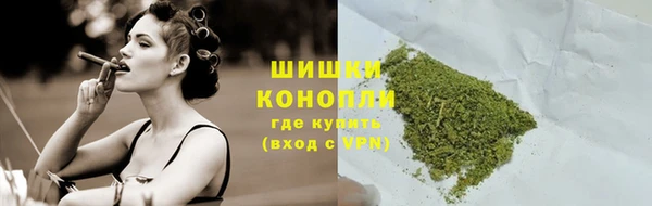 индика Заволжск
