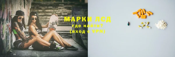 индика Заволжск