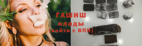 индика Заволжск