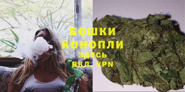 индика Заволжск