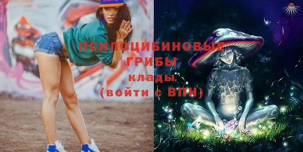 индика Заволжск