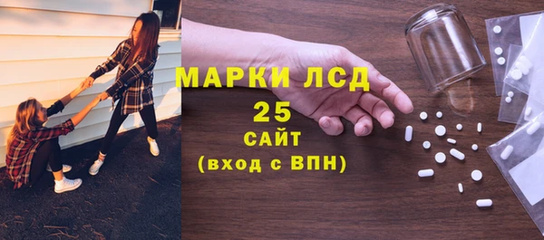 индика Заволжск