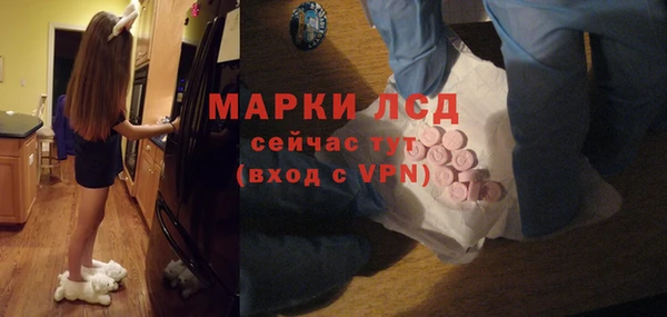 индика Заволжск